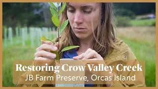 Restoring Crow Valley Creek | Orcas Island