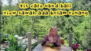 cafe bali ‼️ TIS CAFE UBUD BALI cafe di ubud dengan pemandangan sawah