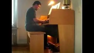 Die Sach ist Dein Herr Jesu Christ, die Sach an der wir stehn......