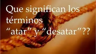 Que significan los términos 
