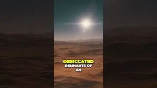 Secrets of Martian Mud Lakes Uncovering Traces of Life #mars #alien #lifeonmars