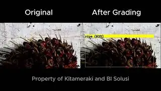 FFB Grading using computer vision  - Ripe