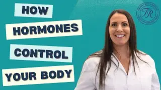 The Endocrine System Explained 🧬 | Hormones, Glands & Their Functions Made Simple