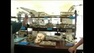 West Coast Fossil Park