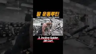 1분 운동루틴 Obi Vincent 팔운동 #헬스 #팔운동루틴 #운동정보 #근육 #근력 #shorts #armworkout #workoutroutine #weighttraining