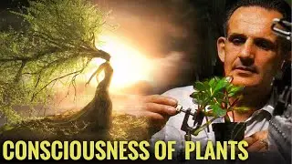 Amazing Experiments That Find Plants Even More Intelligent Than Previously Thought!