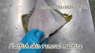 Welly Machinery flatfish skin removal machine