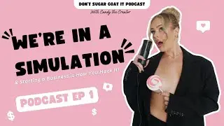 EP 1: We're in a Simulation.. and Starting a Business is How You Hack It