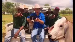 Animal Welfare Education