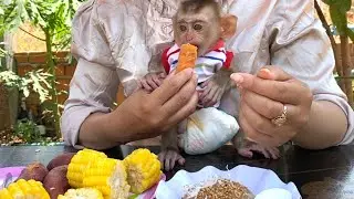 So delicious!! Smart TORO was happy when he received sweet potatoes, corn, and steamed Cake