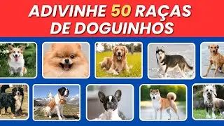 🐶 ADIVINHE A RAÇA DO CACHORRO | QUIZ ANIMAL | Teste seus conhecimentos 🐾