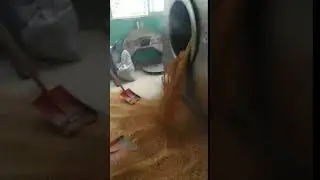 hot chili seeds roasting machine of DCCZ9-16