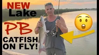 CATFISH ON FLY ROD?