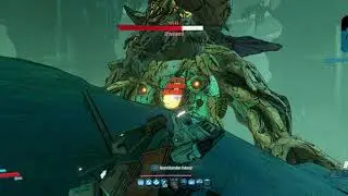 Borderlands 3 - Melee Amara vs Graveward [Mayhem 10]
