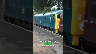 British Rail Class 24: История перехода на дизельную тягу #Class24, #SulzerType2, #fyp #fypシ #loco