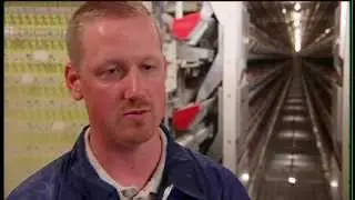 United Egg Producers' Commitment to Sustainability