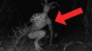 Craziest Cryptids Ever Discovered