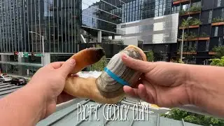 Enjoying Pacific Geoduck Clam in Seattle, WA #geoduck #recipe #shorts #clam #seafood