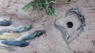 Amazing!Two Boy Dig Deep Hole Fish Trap-How To Make One Hole Fish Trap Using Fan Guard To Catch Fish