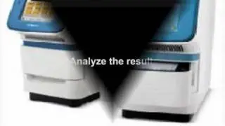 Real time PCR