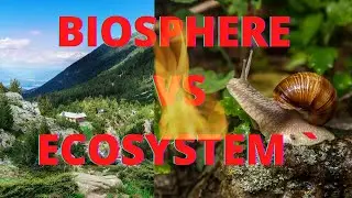 Differences between Biosphere and Ecosystem #GeographicalSight #Rafique #Geography