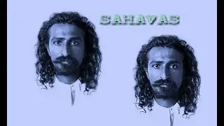 Darwin Shaw - 1984 Sahavas - the Gift