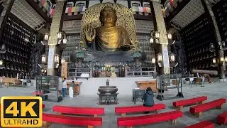 One hour Giant Buddha statue Echizen Daibutsu, Japan 4K 越前大仏