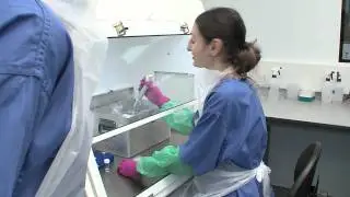 Containment laboratory Personal Protective Equipment (PPE) - Hi Def