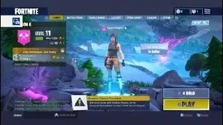 Fortnite Win