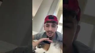 FaZe Rug&rsquo;s *NEW* Chihuahua