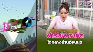 ฟาร์มเพาะเห็ด ใจกลางย่านอ่อนนุช | แบบนี้บิวทำได้