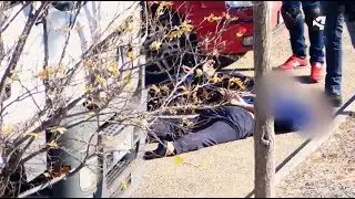 Detenidos por la Policía Nacional