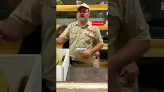 This Tame Snake Turns Into a Bear When Protecting #reptiles #snake