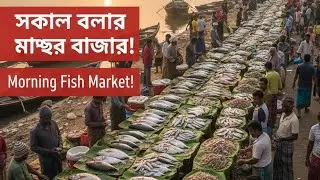 Morning Fish Market Scene | Fresh Fish Everywhere! 