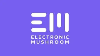 Electronic Mushroom