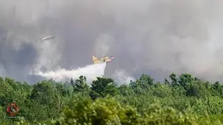 Irishtown Forest Fire - Fire Trucks Responding - Photos - Video