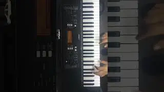 MAMBO N&Uacute;MERO 8