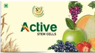 ACTIVE STEMCELL Product Information | Vishvam Ayurveda | Join us now. 8358812779