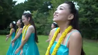 Lei Hala