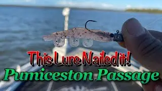 First Time Fishing Pumicestone Passage