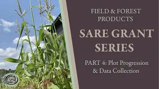 SARE Series Part IV: Plot Progression and Data Collection
