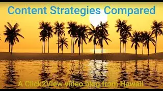 Content Strategies Compared