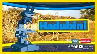 🔴#TBCLIVE: HADUBINI OKTOBA  4, 2025 | SAA 2:00 - 3:00 USIKU