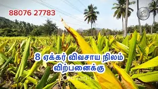 8 Acre Agricultural Land for Sale | Full Coconut Plantation | Farmland | விவசாய நிலம் விற்பனைக்கு 