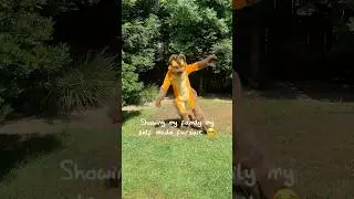 My Family Sees My Full Fursuit For The First Time #furry #fursuit #reaction