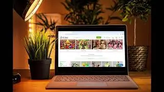 E-Commerce Website Development - Complete Automated System by The Growing Graph - Portfolio