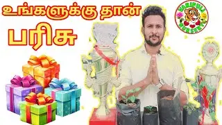 😍😍😍Secret Herbs and Plants NURSERY 2026 |Nursery: Rare Medicinal Plants Tips in Tamil