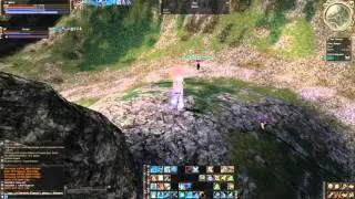 Lineage II, Spellsinger 67 lvl, DD x30