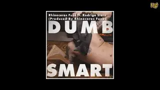 Rhinoceros Funk x Rodrigo Starz  - Dumb Smart