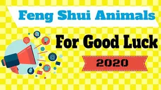 Feng Shui Animals And Directions - Feng Shui Celestial Animals  - Tips, Tricks, Uses and Placement